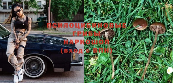 мяу мяу кристалл Богданович