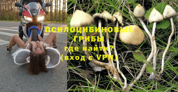 скорость Богородицк