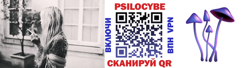 Псилоцибиновые грибы Psilocybine cubensis  Козловка 